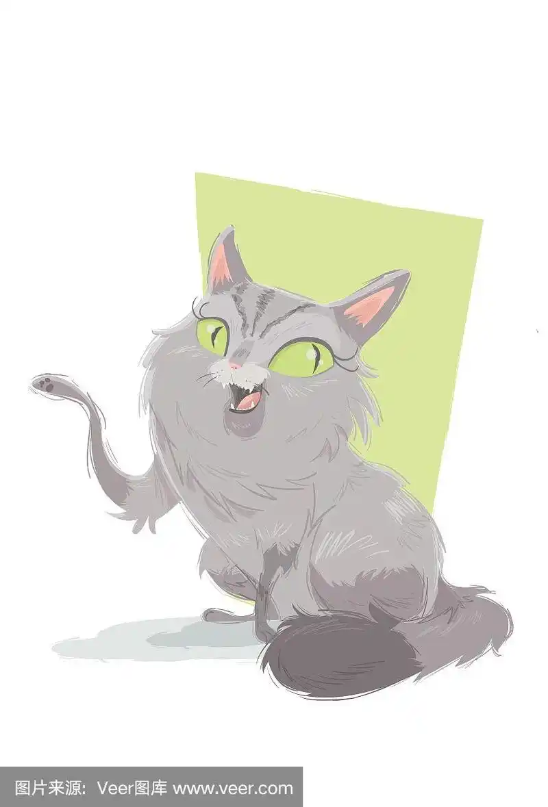 波斯猫,自然,垂直画幅,幸福,驯养动物