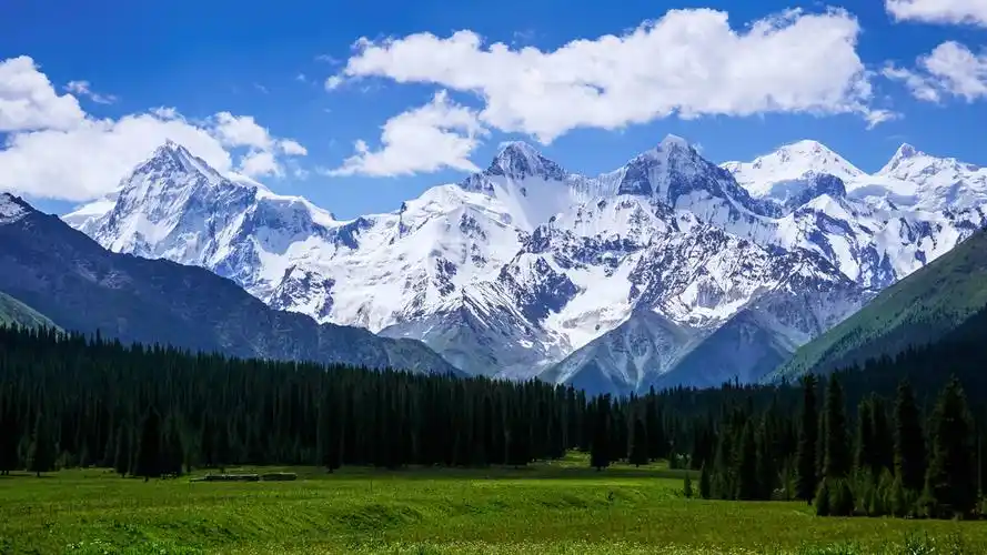蓝天白云雪山草地