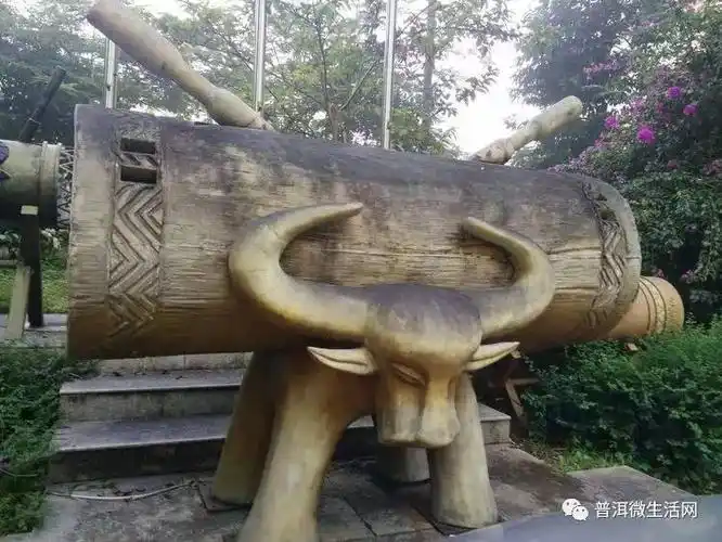 牛虽然是西盟佤族的图腾崇拜,却也是他们用来进行剽杀祭祀的猎物.