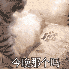 今晚那个吗?妹妹出去玩吗挺住马上就周末了乖~洗干净到床上等我表情包