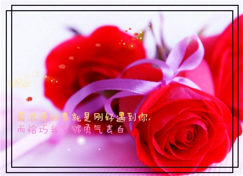唯美意境红玫瑰带字图片_幸福美好的爱情
