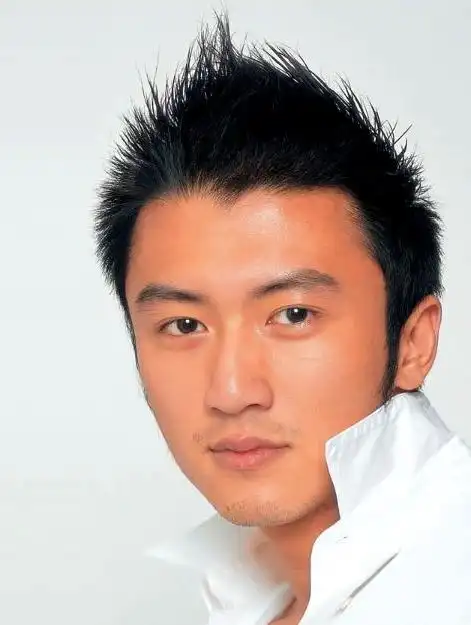 请问谢霆锋在天使这首歌mtv里面的发型叫什么啊?