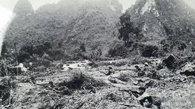 老山战役敌人有多顽强越战老兵回忆很多越军尸体都是战斗姿势