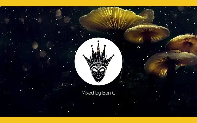 79鲍里斯·布雷贾61专属混音79 boris brejcha exclusive mix