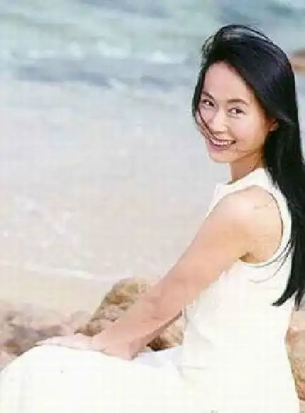 p>叶童,1963年3月8日出生于香港,中国香港女演员.