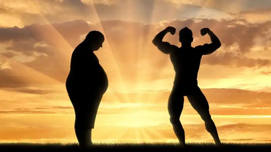 确定我们在一个周期里,怎么分配训练肌肉和针对目标肌肉的训练动作