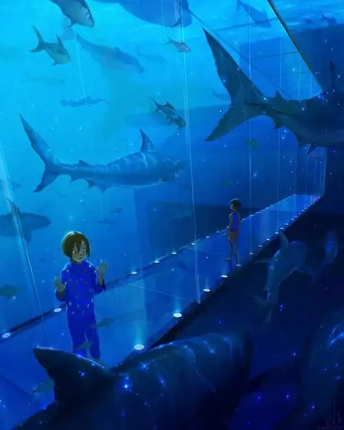 梦幻的水下乐园插画作品集梦里的海底世界插画图