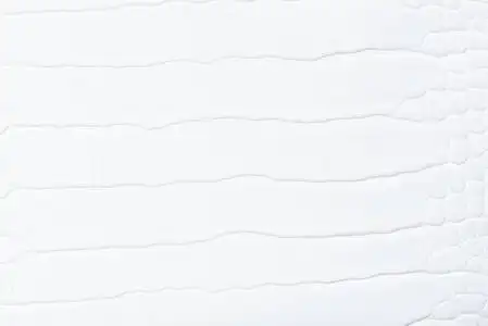 纯白色背景背景图片