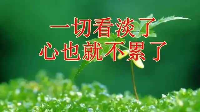 一切看淡了心也就不累了