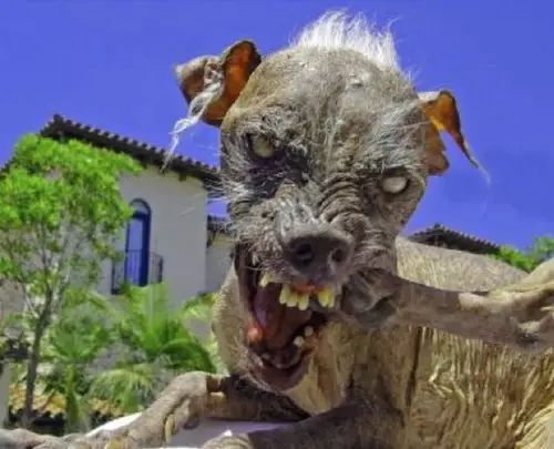 世界十大最恐怖的怪物尼斯湖水怪真的存在吗