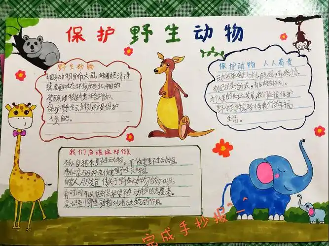 保护野生动物,就是保护人类自己!