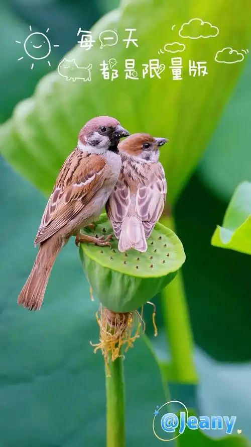 690_1227竖版 竖屏