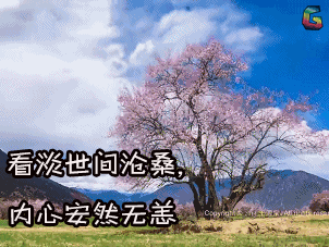 出品看淡世间沧桑内心安然无恙gif动图_动态图_表情包下载_soogif