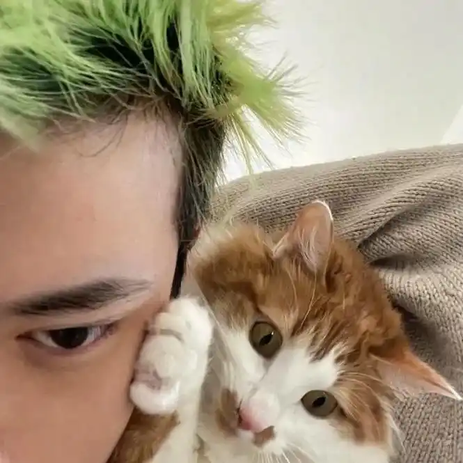 抱猫头像 #男生头像 #男生抱猫头像#猫头像  - 抖音