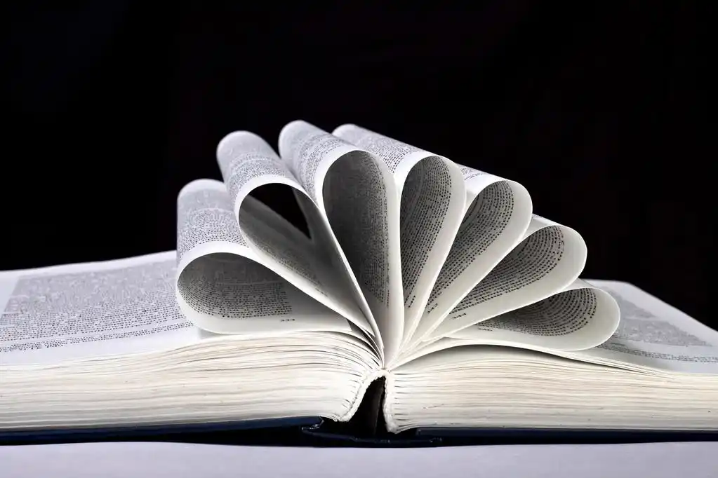 翻开的书页蜷缩在黑上