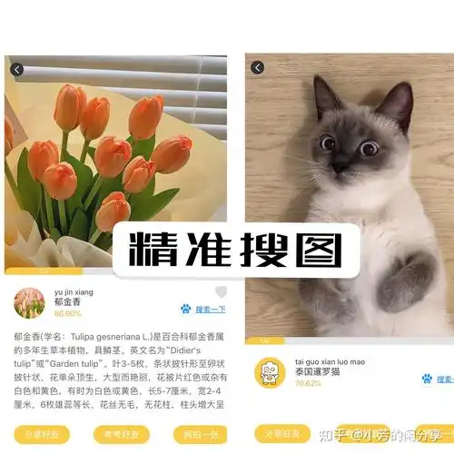 识别结果精准,会有事物的详细解释,可通过拍照或照片导入来进行.