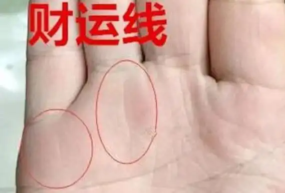 四种代表富贵命手相的纹路能有一条就了不起注定发大财