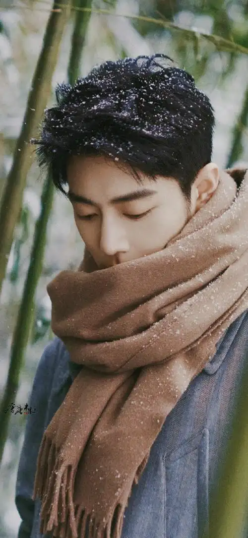 肖战壁纸##肖战