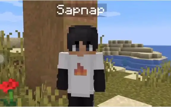 sapnap恶作剧倒放sapnap喝n吃s