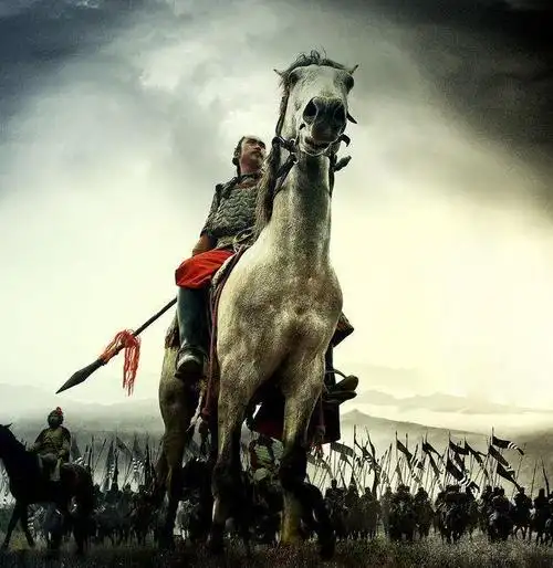 中国古代有掌握朝廷一半兵马最终被赐死但还不反抗的大将吗