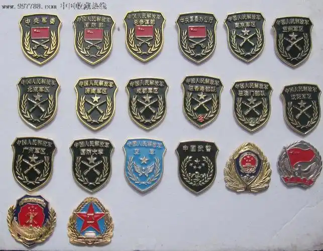 军*种臂章型徽章