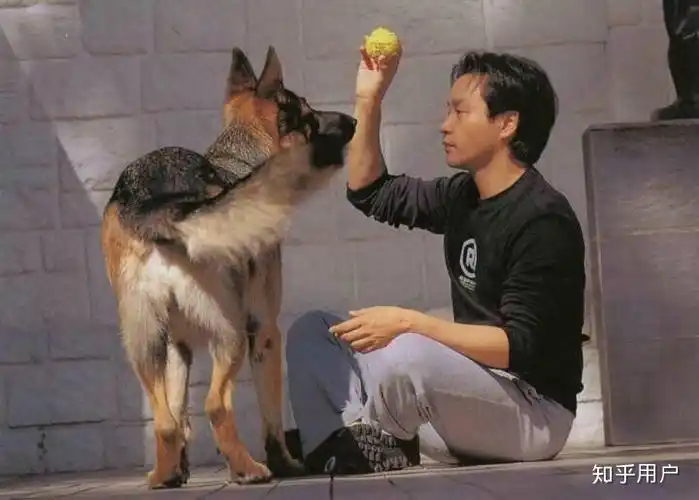 你觉得张国荣哪张照片最帅最美?