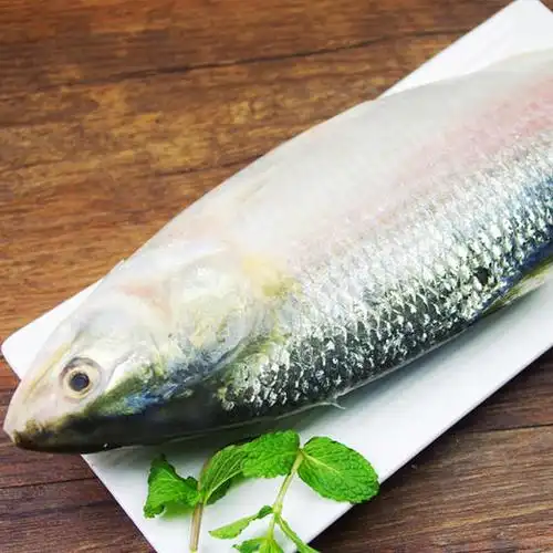 肉厚味鲜口感细嫩湄公河野生鲥鱼