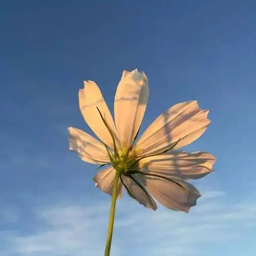 朋友圈封面图|好看的微信朋友圈背景图