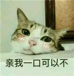 亲亲的表情包图片可爱2017精选我要亲你违法吗