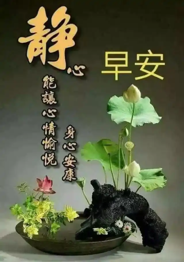 天冷了特别暖心早上好温馨祝福语,微信早安问候语暖心句子