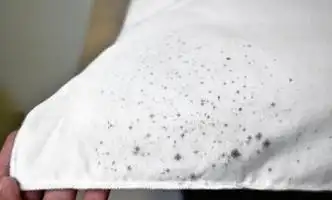 内裤长霉点还能穿吗女性更要注意