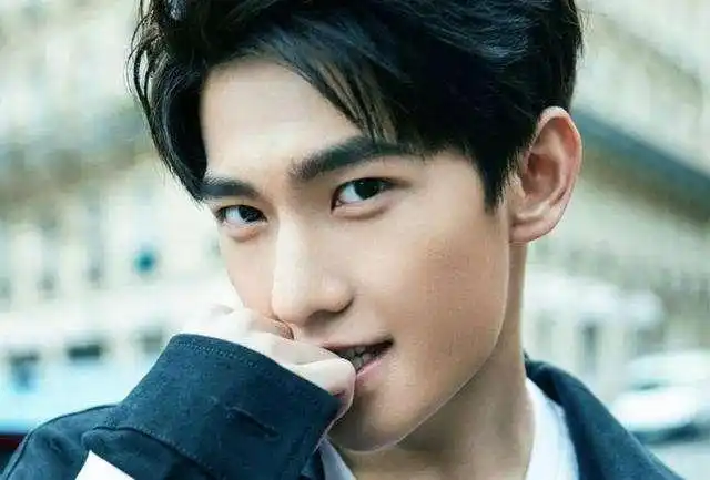 帅气男明星图片韩国男明星名字及照片男星名字大全十位名字贼好听的