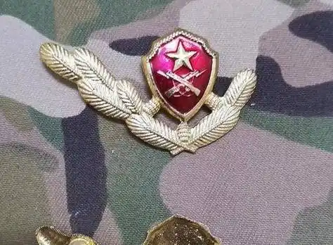 最靓是八七式武警警服,只是材料差点!_保障_领花_装备