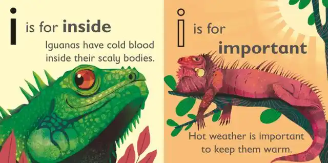 cold blood(冷血), scaly bodies(被鳞片覆盖着的身体).