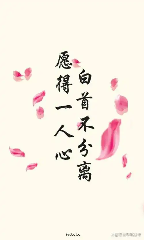 一生只爱一个人中国历史上最专一的皇帝