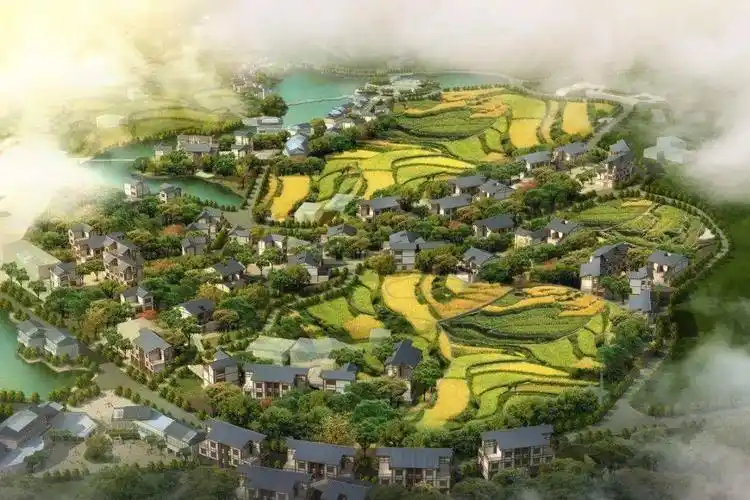 亳州人的村庄,将迎新变化…_规划