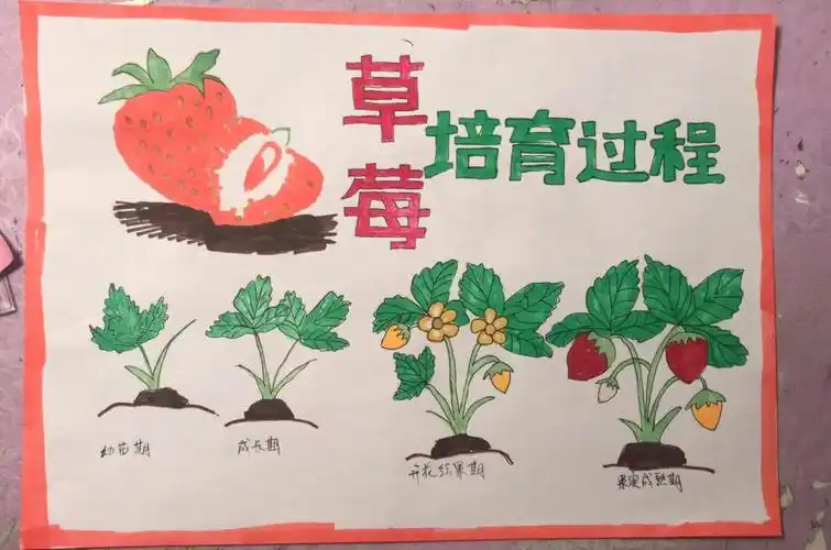 植物生长图