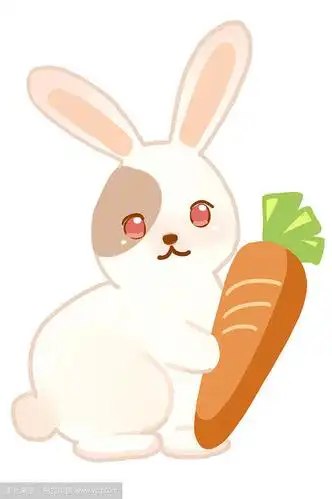 小兔子吃红萝卜图片简笔画图片大全图片卡通图片