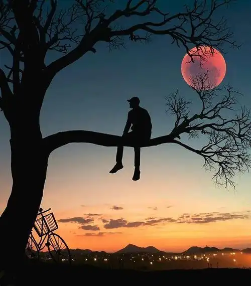 最精辟的情感文案句句有深度有内涵