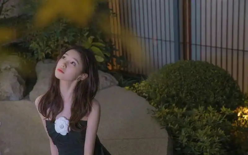 刘浩存小黑裙优雅灵动高清桌面壁纸