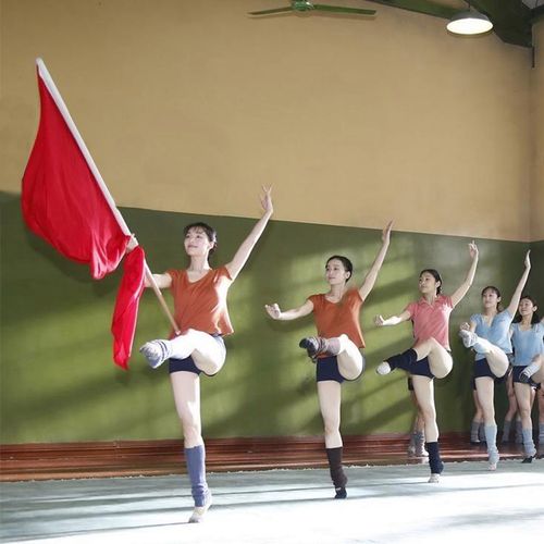 国旗幼儿园表演舞蹈专用红旗道具运动会芳华舞蹈红旗党旗手持杆子