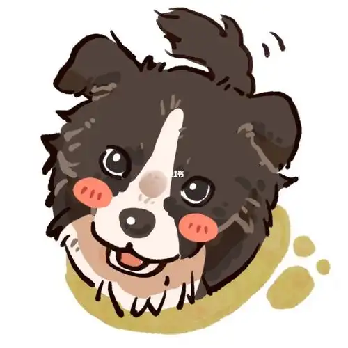 0606#头像分享  #宠物头像  #边牧  #原创  #头像约稿  #客单展示