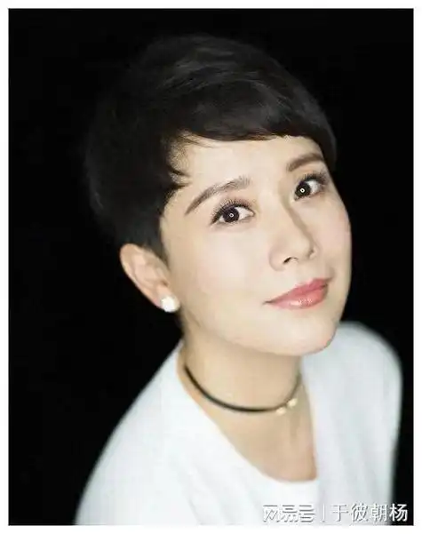 海清中年女演员的困境与机遇