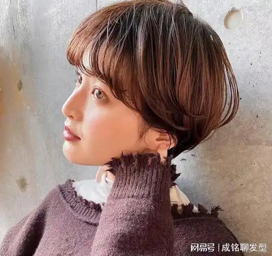 最常见的有短波波头,挂耳短发,短碎发等发型.