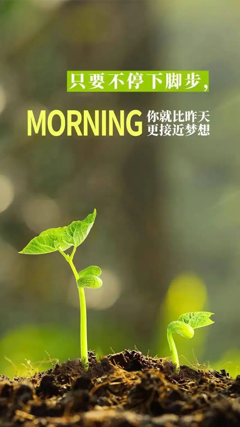 朋友圈积极向上的早安励志精彩语句最新出的早安正能量图片大全