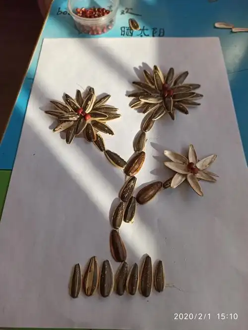 蒋旑茹瓜子创意记