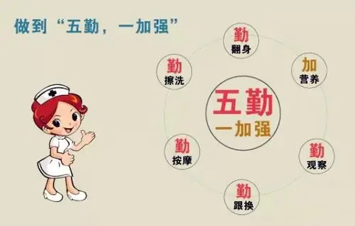 世界压疮预防日关爱老人预防压疮