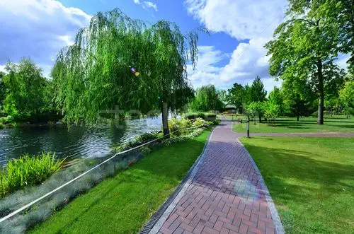 商业照片: 绿色 · 公园 · 夏天 · 天气 · 城市