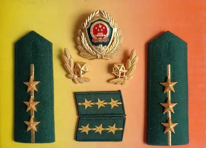 毛启国:武警07式警衔肩章图鉴