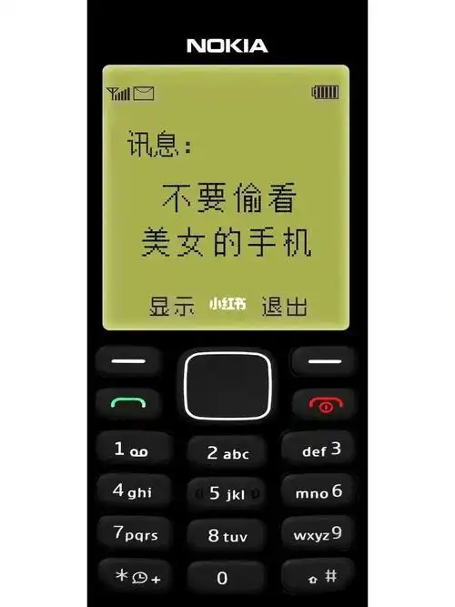 不要偷看美女的手机诺基亚锁屏壁纸手机高清